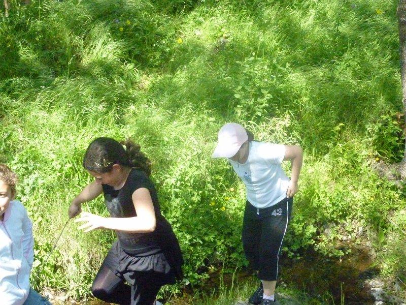 P1020838 [1600x1200].JPG